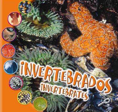 Invertebrados (Invertebrates) - Ohare, Ted