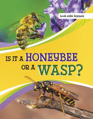 Is It a Honeybee or a Wasp? - Katz, Susan B.