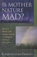 Is Mother Nature Mad?: How to Work with Nature Spirits to Mitigate Natural Disasters