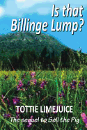 Is That Billinge Lump?