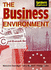 Business Explained: the Business Environment