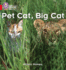 Pet Cat, Big Cat: Band 02a/Red a