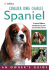 Cavalier King Charles Spaniel: an Owner's Guide (Dog Owners Guide)