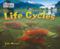 Life Cycles: Band 16/Sapphire (Collins Big Cat)