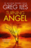 Turning Angel (Penn Cage 2)