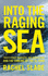 Into the Raging Sea Thirtythree Mariners, One Megastorm and the Sinking of El Faro