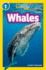 Whales: Level 1