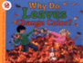 Why Do Leaves Change Color?