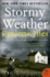 Stormy Weather: a Novel