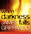 When Darkness Falls Cd (Jack Swyteck Novel)