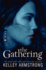 The Gathering: Darkness Rising: Book 01