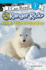 I Wish I Was a Polar Bear (I Can Read, Level 1: Ranger Rick)