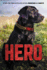 Hero: 1