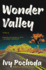 Wonder Valley: a Novel
