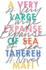 A Very Large Expanse of Sea Lib/E