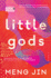 Little Gods: a Novel