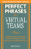 Perfect Phrases for Virtual Teamwork: Hundreds of Ready-to-Use Phrases for Fostering Collaboration at a Distance (Perfect Phrases Series)