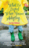 What to Expect When You'Re Adopting...: a Practical Guide to the Decisions and Emotions Involved in Adoption