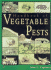 Handbook of Vegetable Pests