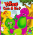 What Can It Be? (Barney)