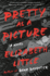 Pretty as a Picture: a Novel