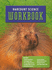 Harcourt Science Workbook