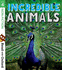 Read With Oxford Stage 4 Nonfiction Incredible Animals