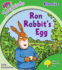 Oxford Reading Tree: Level 2: More Songbirds Phonics: Ron Rabbits Egg (Ort More Songbird Phonics)