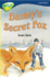 Oxford Reading Tree: Stage 14: Treetops: Danny's Secret Fox