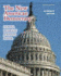 The New American Democracy