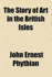 The Story of Art in the British Isles