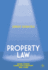 Great Debates in Property Law (Palgrave Great Debates in Law)