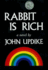 Rabbit is Rich