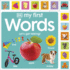 My First Words: Lets Get Talking (My First Tabbed Board Book)