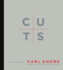 Cuts: Texts 1959-2004 (Writing Art)