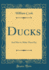 Ducks and How to Make Them Pay Classic Reprint