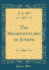 The Misadventures of Joseph (Classic Reprint)