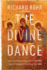 The Divine Dance: the Trinity and Your Transformation (Spck01)