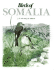 Birds of Somalia