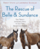 The Rescue of Belle and Sundance: One Town's Incredible Race to Save Two Abandoned Horses (a Merloyd Lawrence Book)