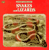 Lizards & Snakes /Jr Guide
