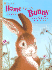 Home for a Bunny a Golden Lap Book