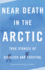 Near Death in the Arctic: True Stories of Disaster and Survival