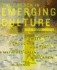 The Church in Emerging Culture: Five Perspectives (Emergent Ys)
