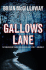 Gallows Lane (Inspector Devlin Mystery 2)