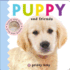Puppy and Friends Touch and Feel (Baby Touch and Feel)