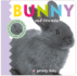 Bunny and Friends Touch and Feel Format: Boardbook