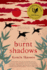 Burnt Shadows: a Novel