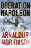 Operation Napoleon (Reykjavik Thriller)