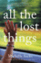 All the Lost Things: a Novel
